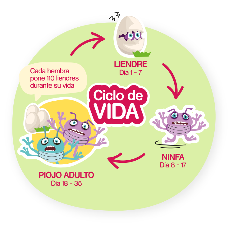 piojos-web-nosa-img1